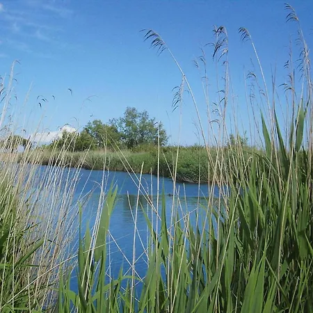 In Near Sandy Beach, Cleaning Included Apartment
